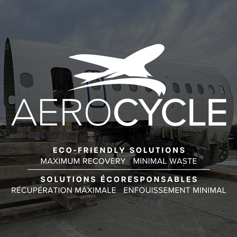 A Leader in Sustainable Aviation