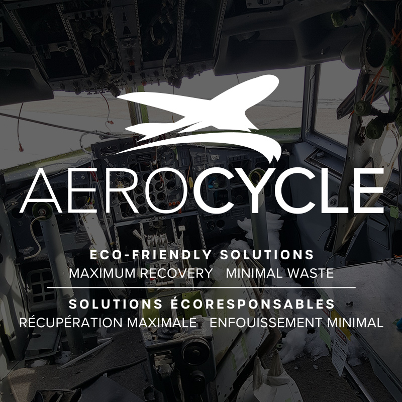 Building Expertise in Sustainable Aviation