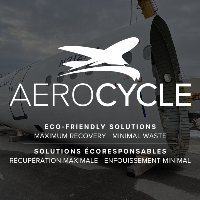 Leading the Way in Sustainable Aviation
